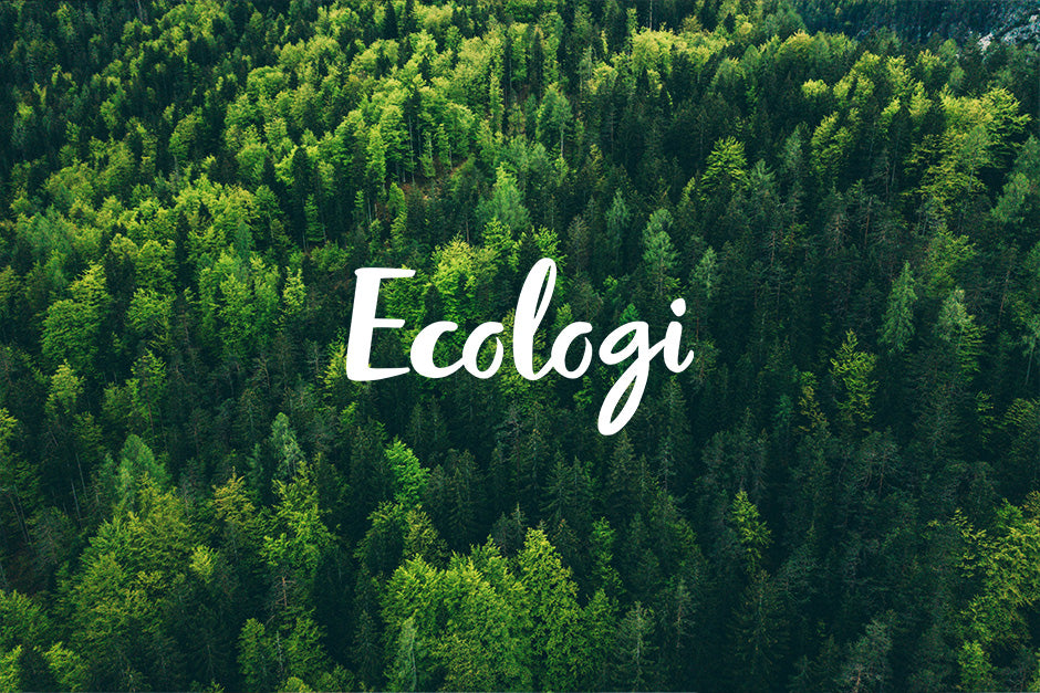 Minden vásárlás velünk több zöld fát jelent a bolygónk számára!